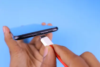 Casino Dogs Fortune Mobilna aplikacija